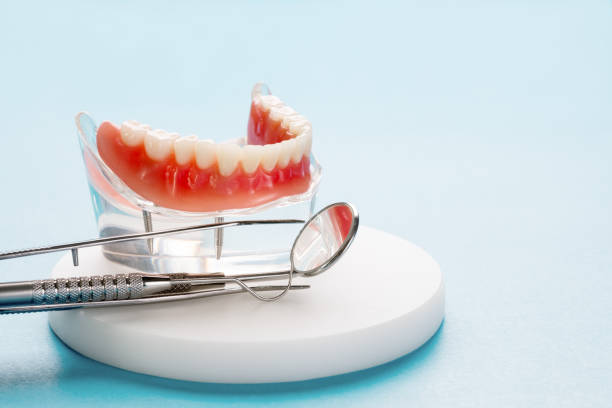 Best Pediatric Dentistry  in Haskins, OH